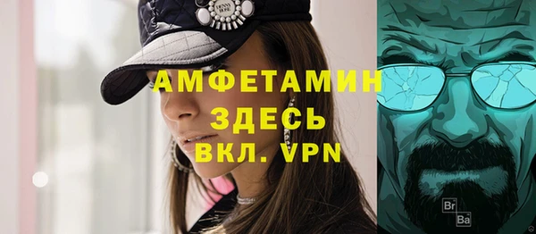 дмт Пересвет