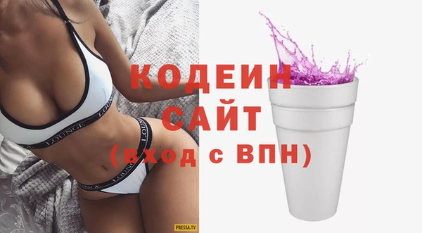 дмт Пересвет