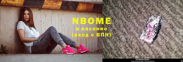 дмт Пересвет