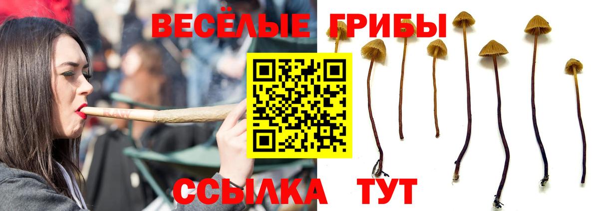 наркотики  Вход с VPN  Александров  Галлюциногенные грибы ЛСД 